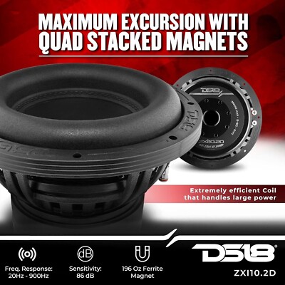 DS18 ZXI10.2D High Excursion 10