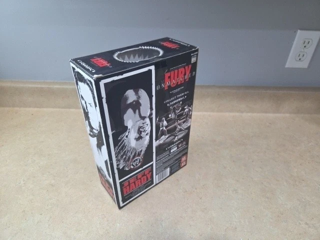 Figura de acción WWE Unmatched Fury Jeff Hardy Serie 3 Edición Platino 2007 Jakks Foto 3 de 4