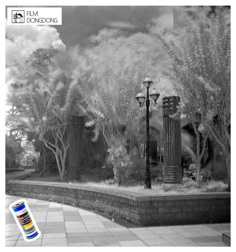 Aviphot 120 Film(Infrared) Black and White Negative Film ISO 100(120 Roll Film) - Image 3 of 4