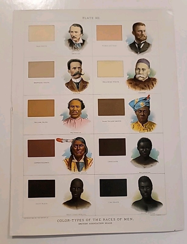 BRITISH ASSOCIATION SCALE COLOR-TYPES OF THE RACES OF MEN 1902 RARE PLATE XII **