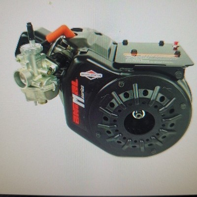 GO KART BRIGGS STRATTON QMA QUARTER MIDGET OHV ANIMAL ENGINE MOTOR LONG BLOCK