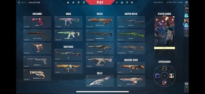 NA Valorant Account 1k  Spent