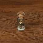 Foto 1 di 2