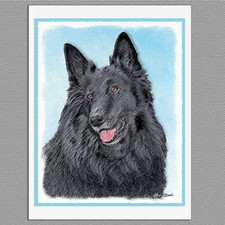 6 Belgian Sheepdog Dog Blank Art Note Greeting Cards