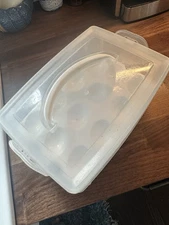 2 Tiers Egg Container Deviled Egg Carrier Eggs 24 Snap Closure