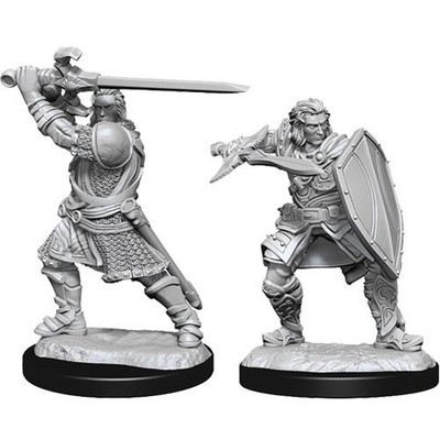 D&D Nolzur's Marvelous Unpainted Miniatures (Wave 14): Human Paladin Male - Neu