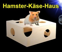 Nager 🐹 Holz Hamster Haus 🐹 Rennmaus Maus Gerbil Kleintier ZubehöR Bett Nest