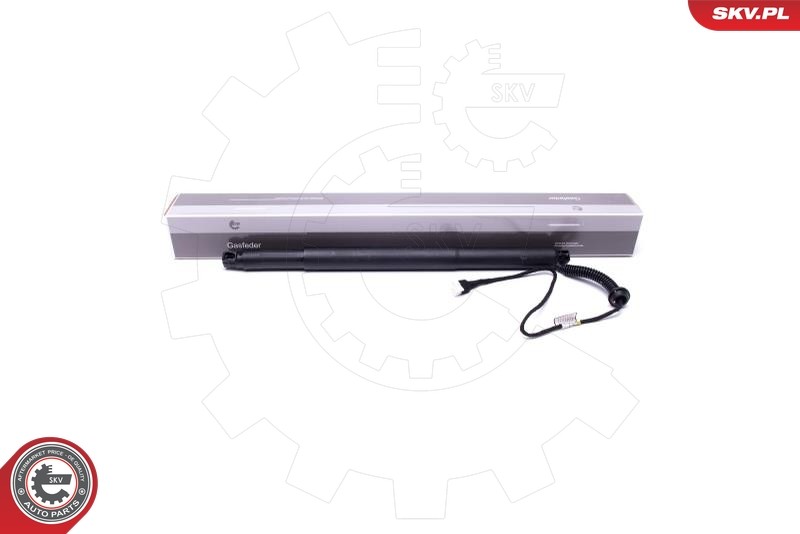 Moteur électrique hayon 52SKV936 ESEN SKV vérin de coffre BMW X5
