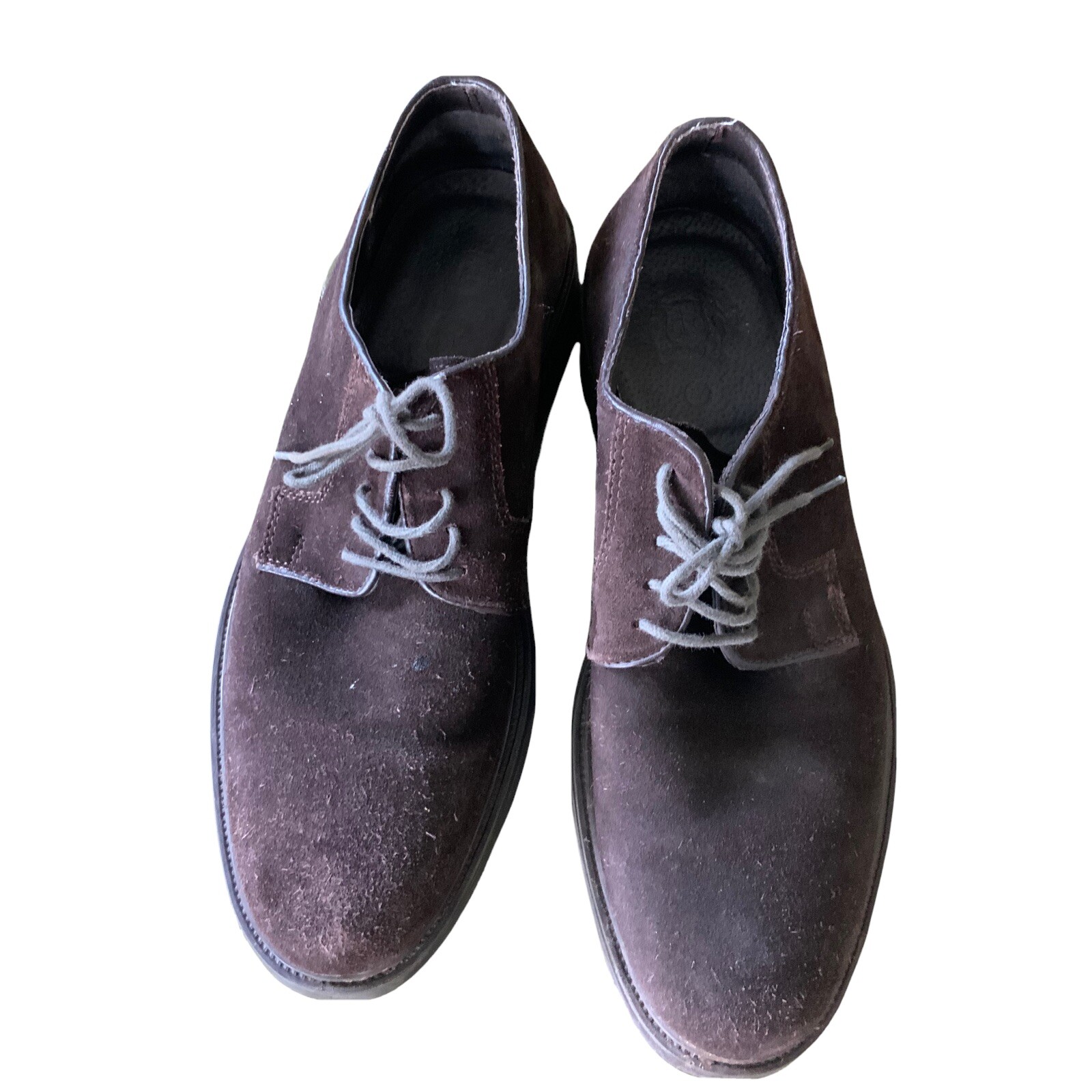 SAOLA Scarpa uomo Dustin scamosciata taglia 42 8 5 US marrone cioccolato Oxford