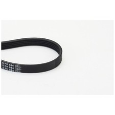 Keilrippenriemen für Mazda 121 3 JASM | 24569600