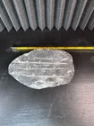 Orthoceras Fossil Nautiloid in Stone Matrix Polished Display Specimen 6” — photo 3