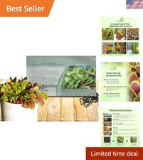 10 Pcs Venus Flytrap Seeds - Unique Carnivorous Indoor Plant for Easy Growth