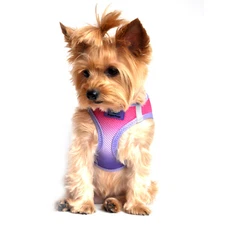 Choke Free Dog Harness NEW American River  Ombre Raspberry Sundae  XXS-3XL