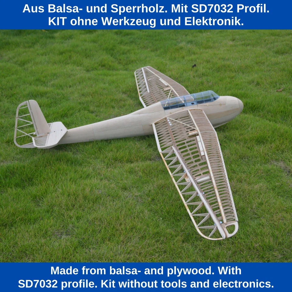 DFS Kranich Segler Modellflugzeug 3m Spannweite Flugzeug Modell Flieger Gleiter - Bild 3 von 4