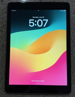 Apple iPad 6th Generation A1954 32GB WiFi + Cellular 3G LTE Gray Silver 2018
