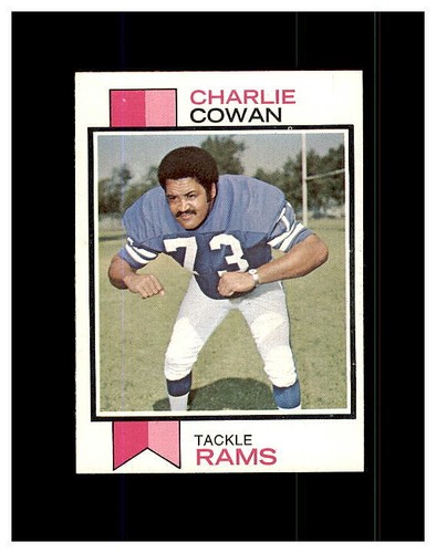 1973 TOPPS FOOTBALL YOU PICK FINISH OR UPGRADE YOUR SET HIGHER GRADE SET BREAK - Picture 34 of 457