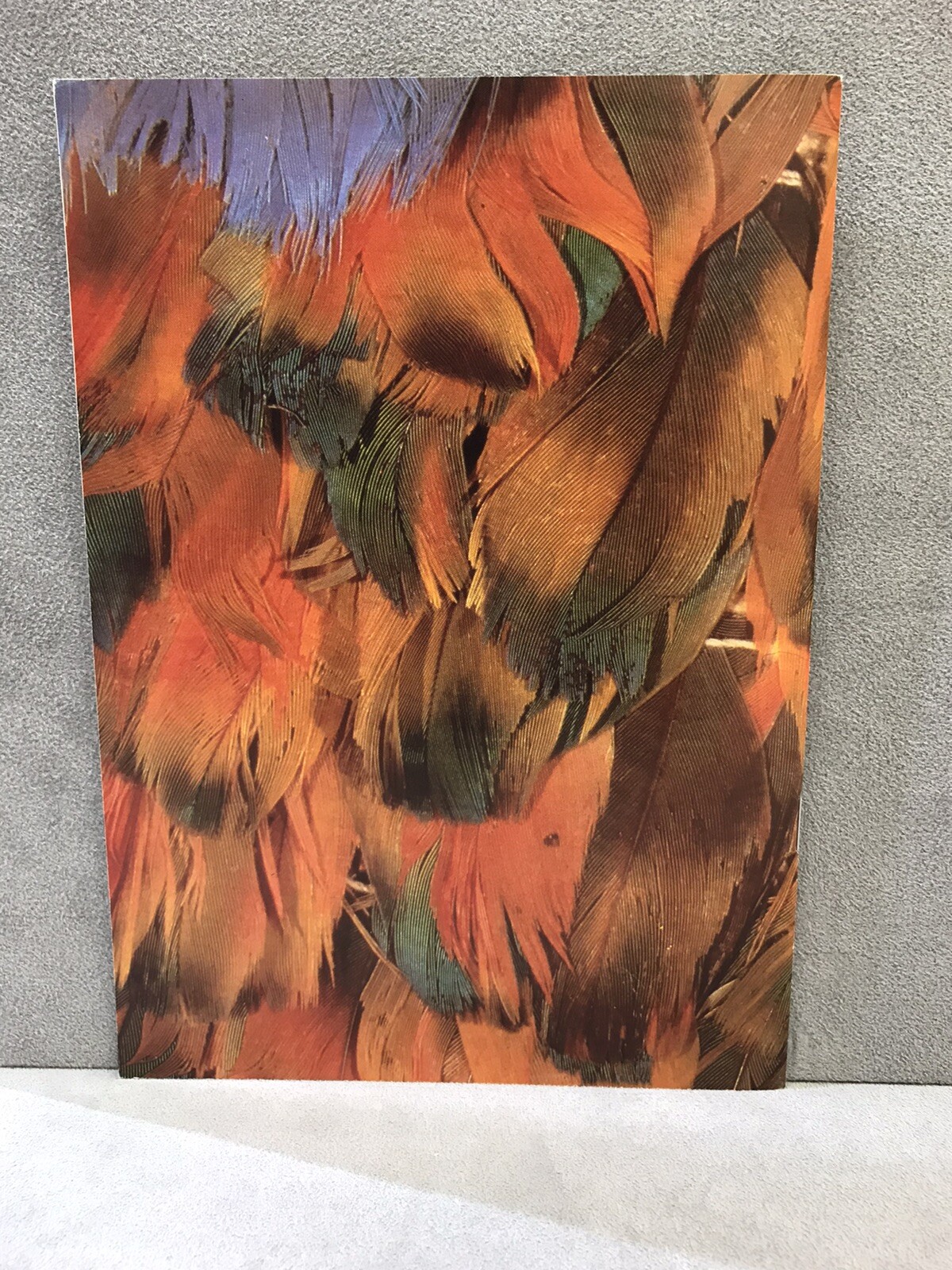 Picture 4 of 10