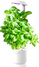 Indoor hydroponic garden 24V 0,5A Kit Completo per Coltivazione autoirrigante