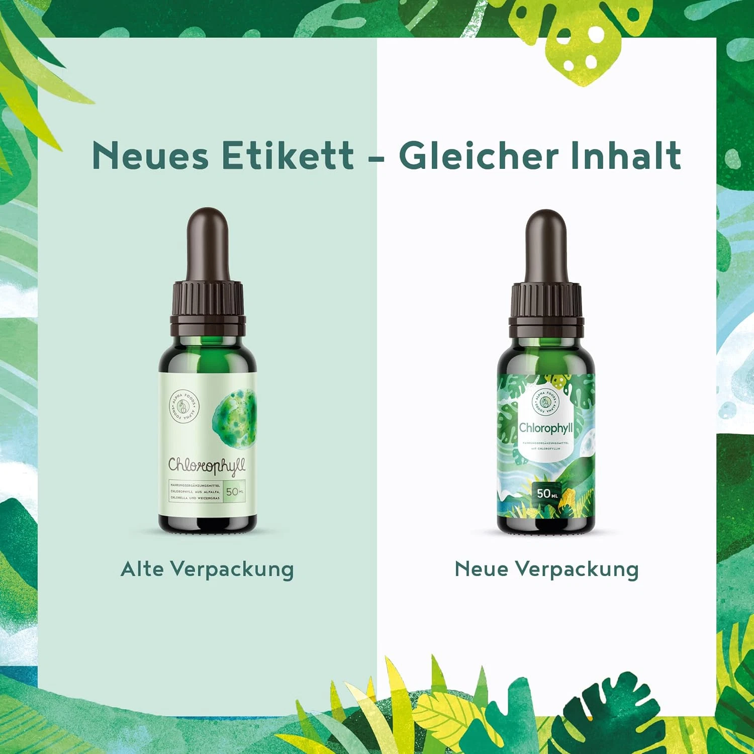 Bild 4 von 10