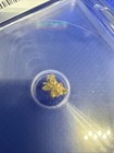 Natural Gold Nugget 0.46 Grams ICG Certified Genuine Slabbed Serial #4032041405 — photo 6