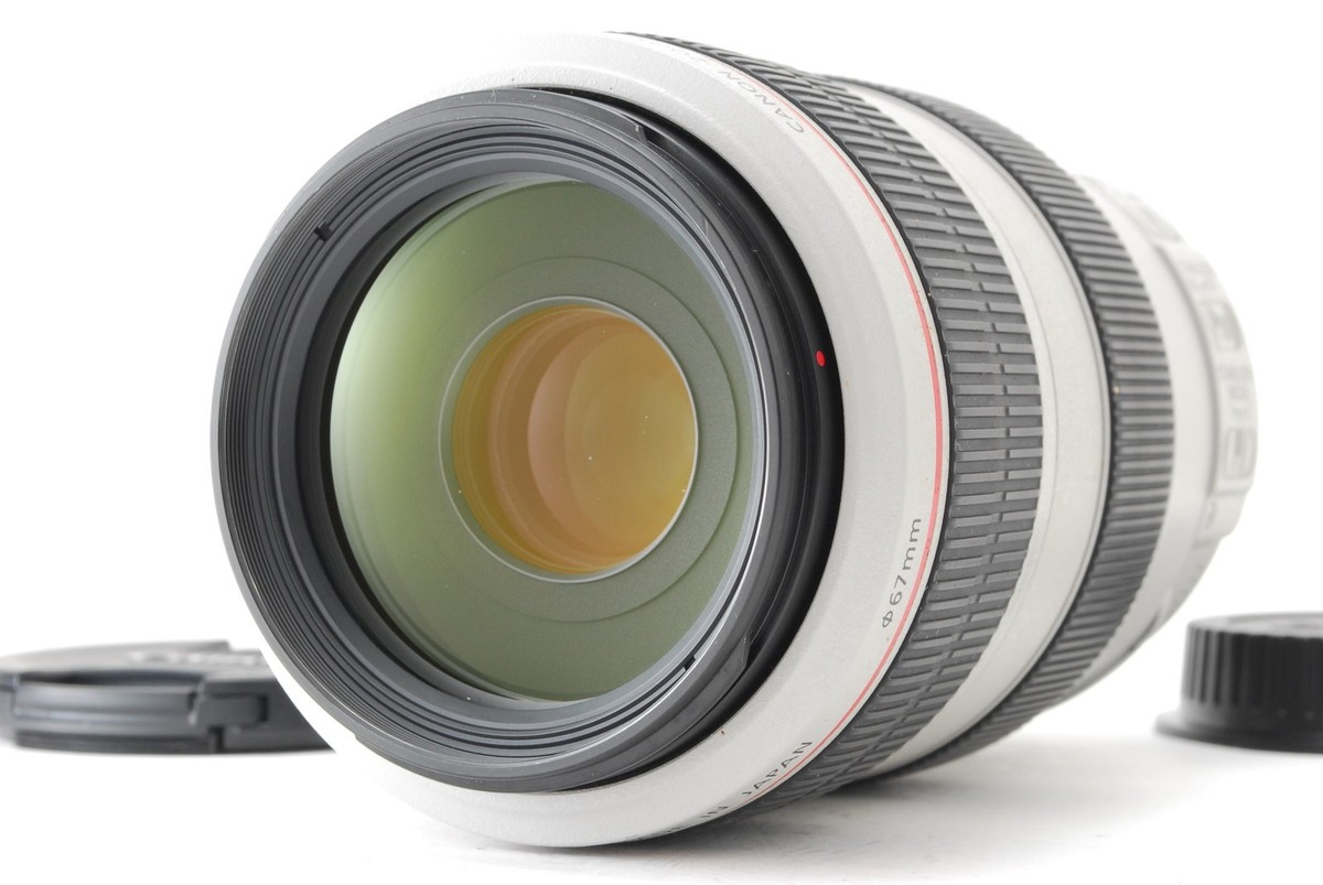 Mint+++] Canon EF 70-300mm f4-5.6 L IS USM Zoom Lens From JAPAN | eBay