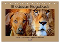 Rhodesian Ridgeback Der Hund Mit Dem Tropfen LöWenblut (Tischkalender 2026...