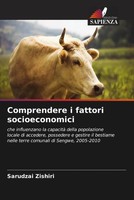 Sarudzai Zishiri | Comprendere I Fattori Socioeconomici | Taschenbuch (2022)