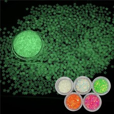 PrettyG 5 Boxes Set Luminous Star Nail Art Glitter Glow in The Dark 3MM, Set1
