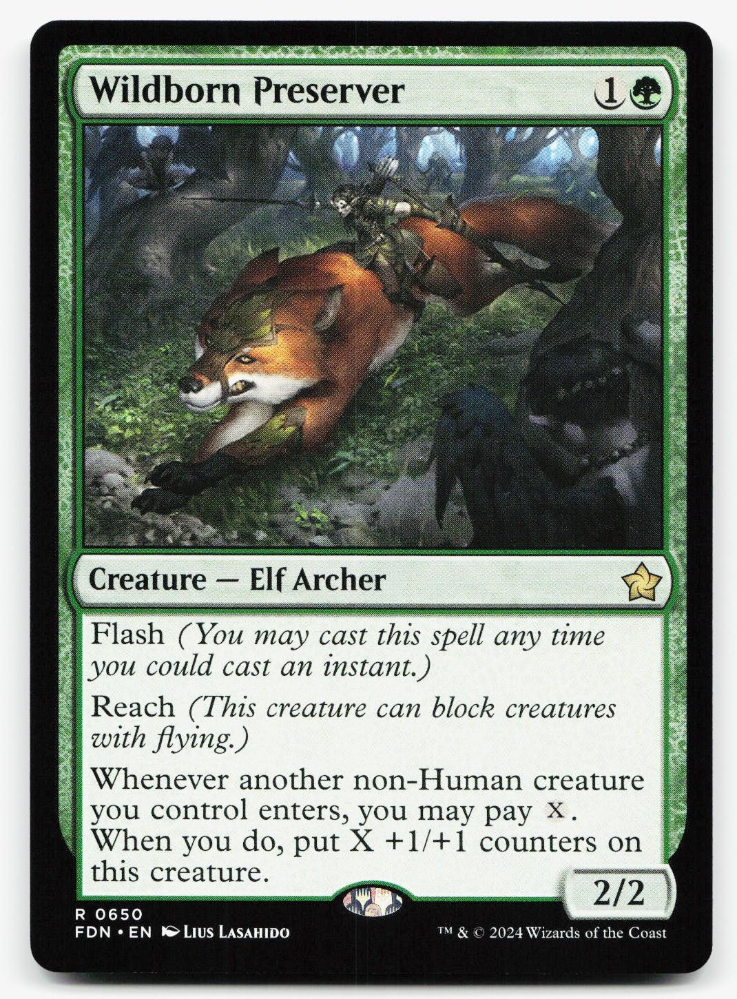 WILDBORN PRESERVER 650 R FOUNDATIONS NM MTG