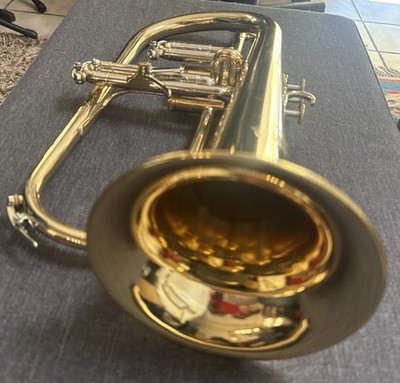 Flugelhorn  ENDRES   Meister Arbeit Model 11