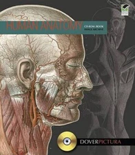 Human Anatomy (Dover Pictura Electronic Clip Art) - Paperback - GOOD