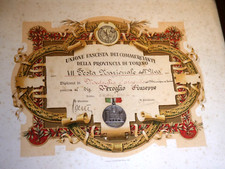 Attestato UNIONE FASCISTA DEI COMMERCIANTI DELLA PROVINCIA DI TORINO-Medaglia Ag