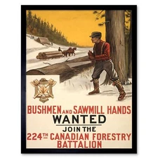Propaganda War Wwi Canada Recruit Forestry Battalion Log Saw 12X16 Framed Print