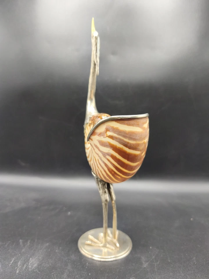 Binazzi Nautilus Wunderkammer - Bild 2 von 4