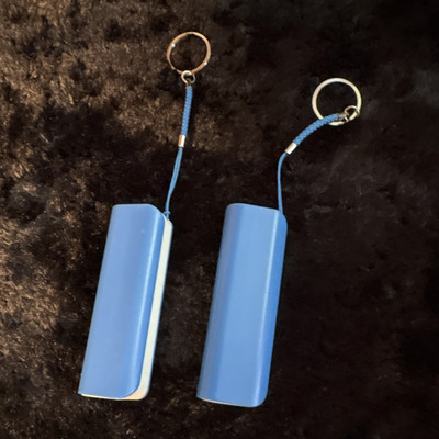 EN Power Bank Blue USB Micro USB Portable Charger Plain Plastic Universal