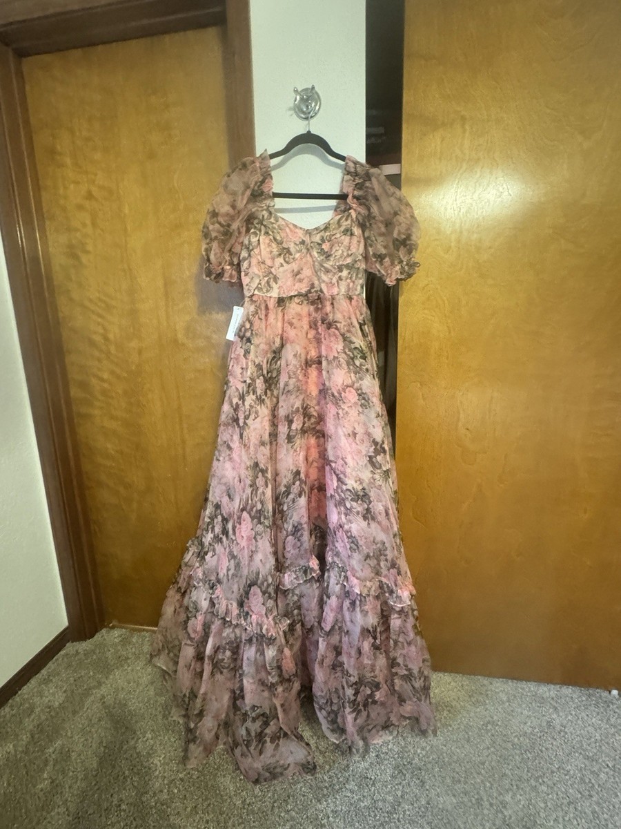 the garden roses silk gauze ritz dress The Garden Roses Silk Gauze Ritz Gown