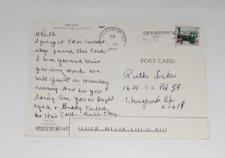 Postcard Miss You Cat Kitten In Flowers Vintage 2004 2CG 297 Free USA Shipping - Image 2 of 4