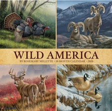 2026 Wild America 12 X 12 Wall by Willow Creek Press (2025, Calendar)