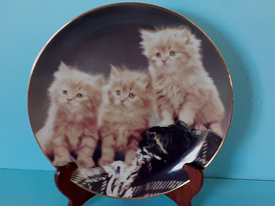 Drei Bonny Lassies Purrfect Portraits Danbury Mint Porzellan Kätzchen Katze Teller