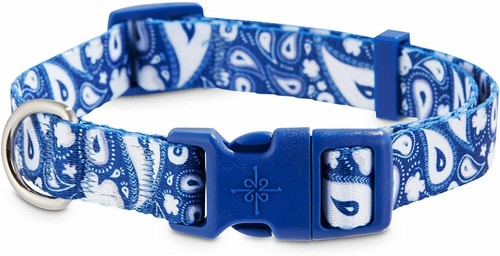 Good2Go Blue Paisley Dog Collar, Medium By: Good2Go