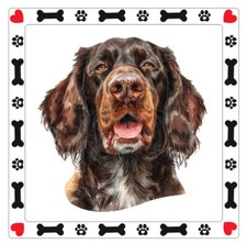 German Longhaired Pointer Dog Sticker Decal A868