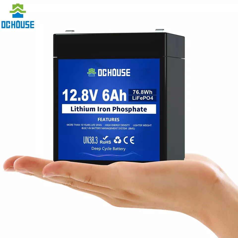 LiFePO4 Akku 12V/24V/48V 6Ah 30Ah 100Ah 200Ah Lithium Batterie BMS für RV Solar