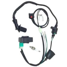 Motor Wiring Loom Harness Kill Switch Ignition Coil CDI for 50cc-160cc Kick Bike
