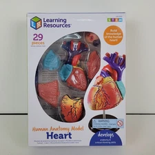 Learning Resources Human Anatomy Model LER 3334 The Heart 29 Piece Model NEW