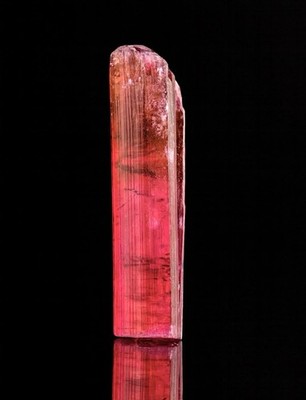Jonas mine Tourmaline GEM Crystal, Conselheiro Pena, Minas Gerais, Brazil! 18.5g