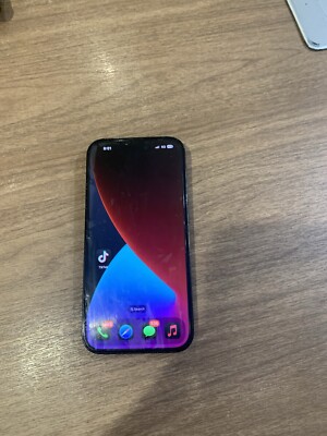 iPhone 14 Pro With TikTok App 