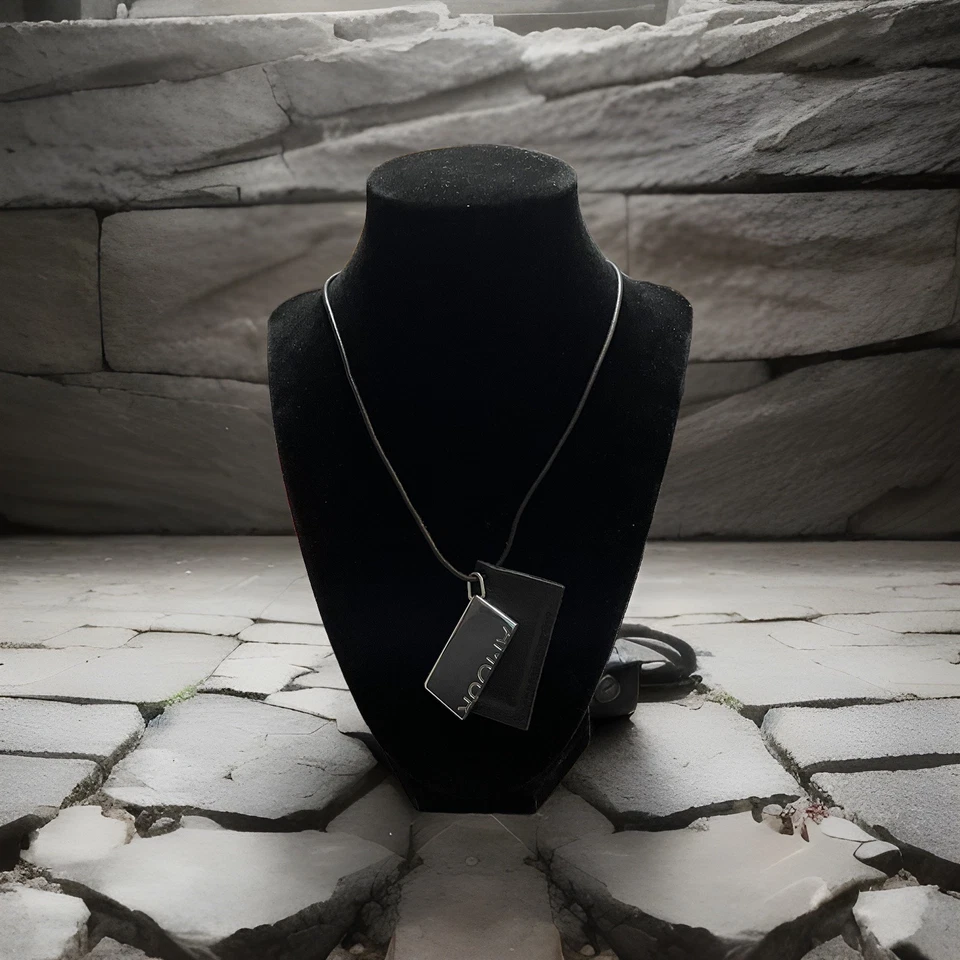 De Colección Hermes Símbolo Placa de Paladio Medio Amor Colgante Cuero Cordón Collar Foto 3 de 4