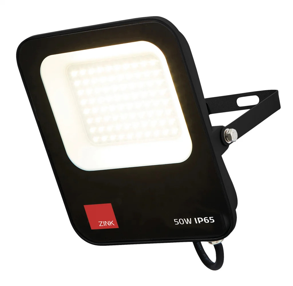 Outdoor Light Black Reina 50w LED Floodlight IP65 5500lm 6500K Daylight White