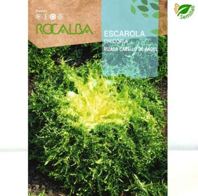 ROCALBA Escarola Rizada Cabello de Angel ( 6 gr / 3.600 semillas ) seeds