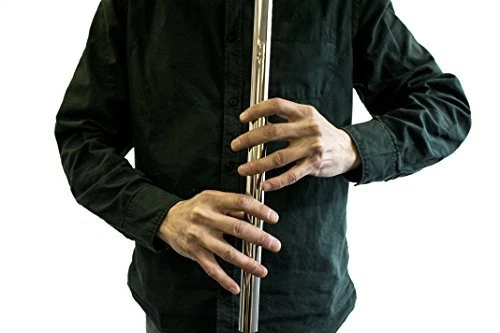 Howard Whistle Low D Nickel eBay
